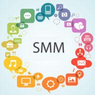 Сфера использования SMM