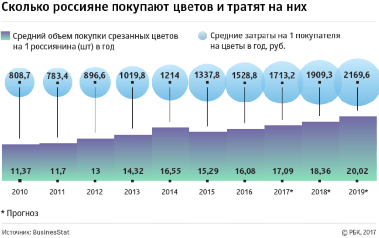 Анализ рынка бизнес план цветочного магазина